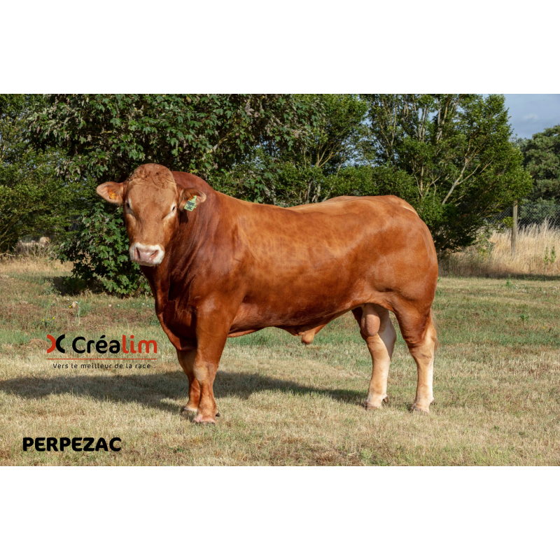 PERPEZAC