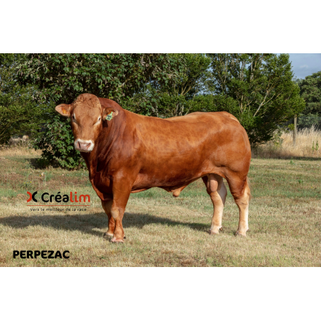 PERPEZAC