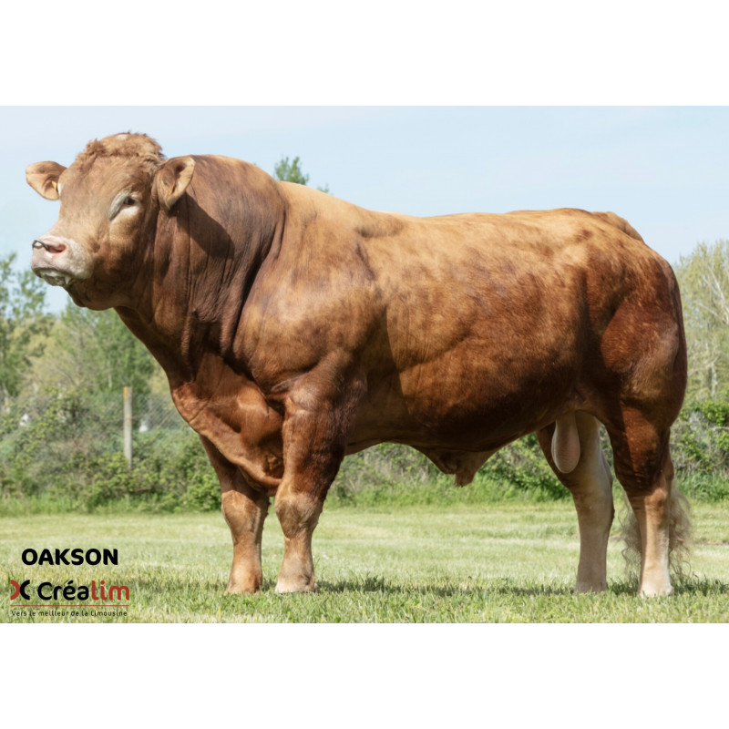 OAKSON