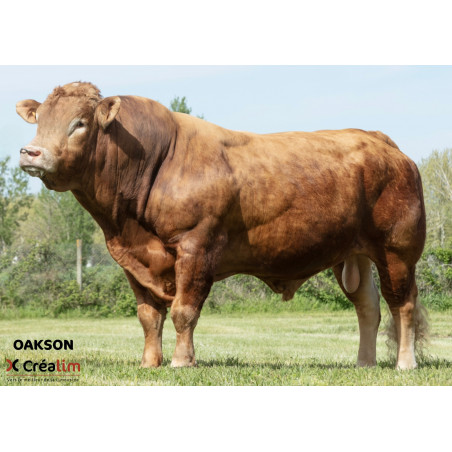 OAKSON