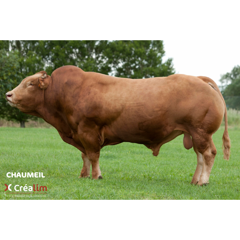 CHAUMEIL