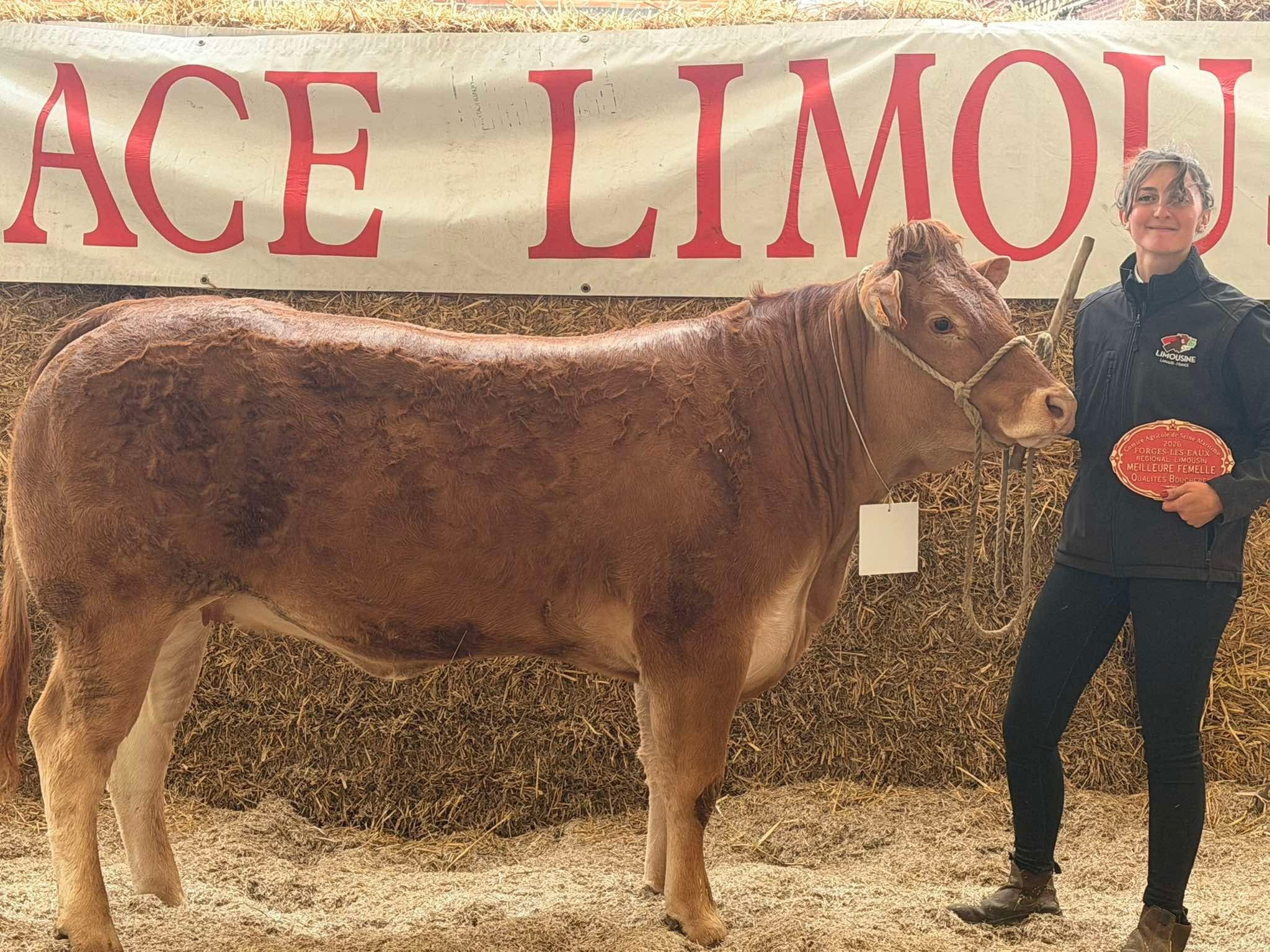 Fille de POUMBA - SCEA LA FERME DU THEIL (27)