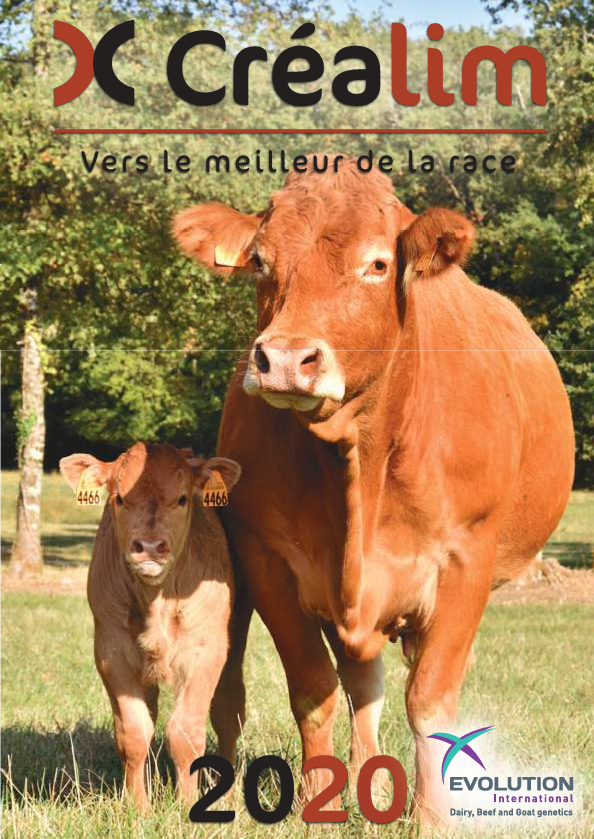 CREALIM 2020